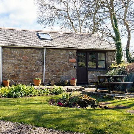 Cosy Cottage In The Beautiful Lamorna Valley - Walk To The Pub & Sea Paul المظهر الخارجي الصورة